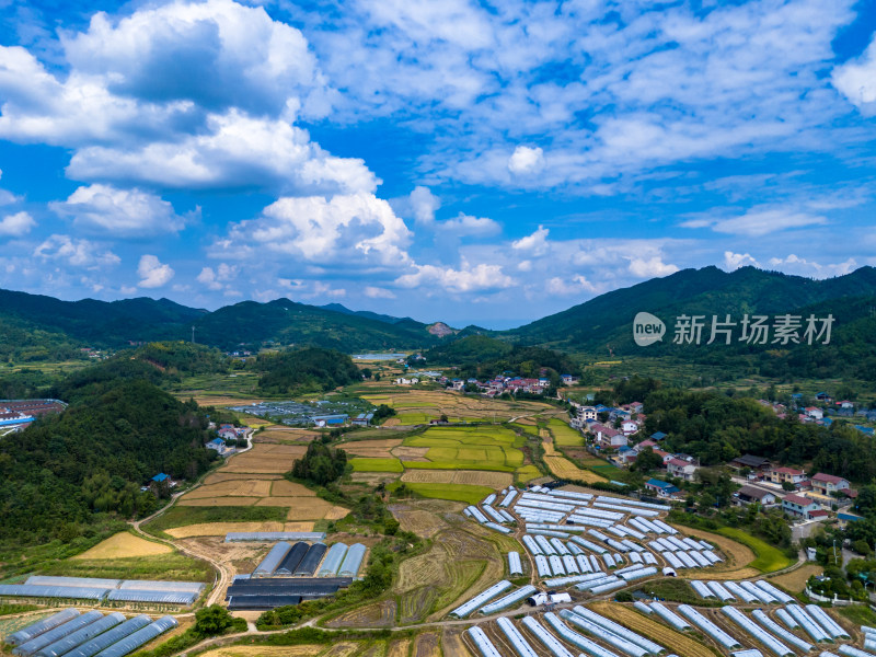 秋收美丽乡村农田航拍图