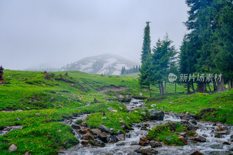 新疆伊犁那拉提的草原森林雪山和小溪