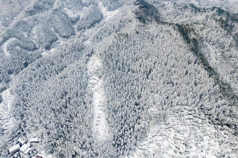 冬天森林雪景航拍图