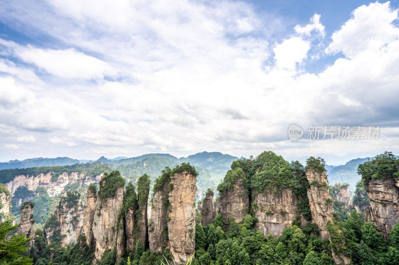 中国湖南张家界景区奇特山峰与茂密森林