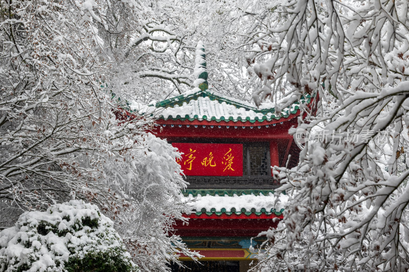 爱晚亭雪景