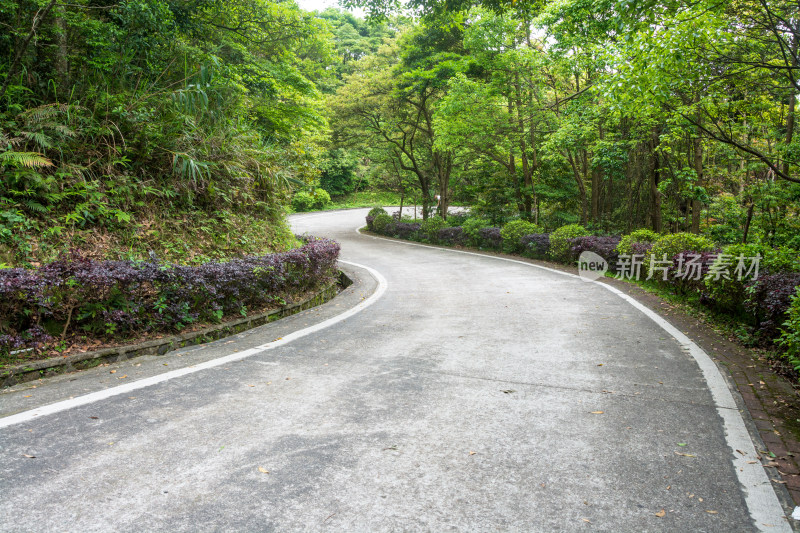 山林间蜿蜒的柏油道路