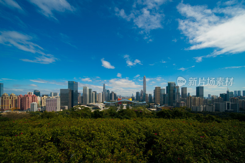 晴朗天空蓝天白云下的都市风光