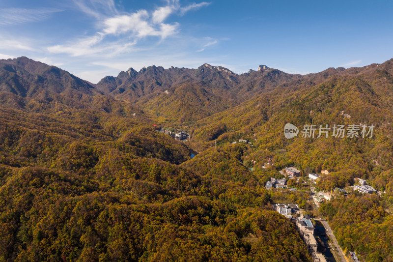 秋景漫山黄叶