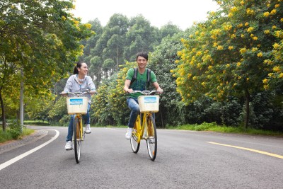 年轻大学生在校园里骑车