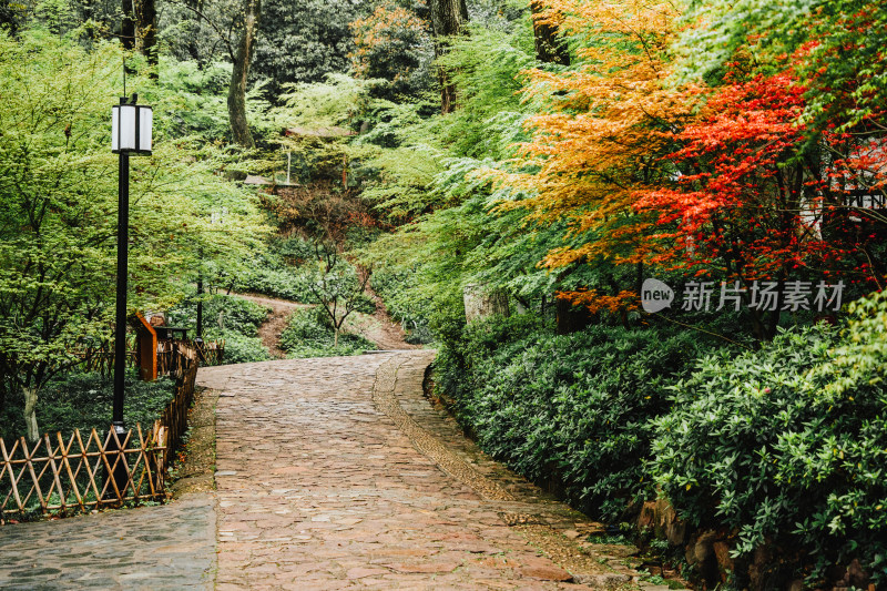 长沙岳麓山