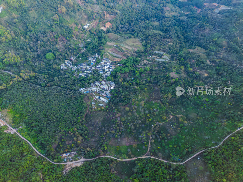 航拍被森林环绕的景迈山村庄全景