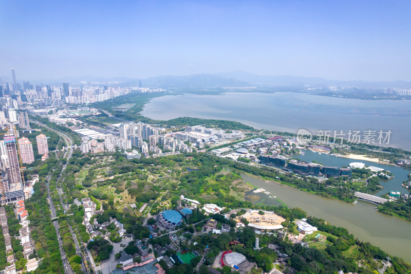 深圳南山区沙河街道