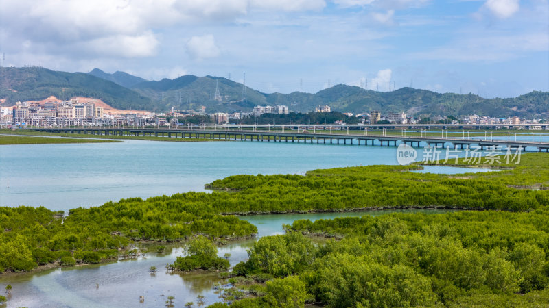 惠州盐洲海洋湿地公园-红树林湿地风光