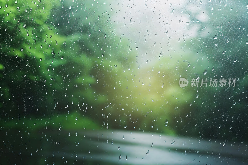 自然风景植物背景雨水