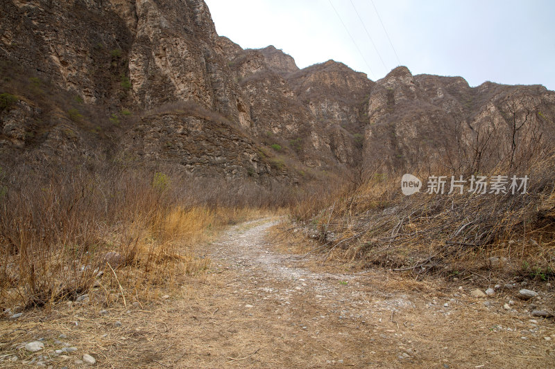 荒野的大山