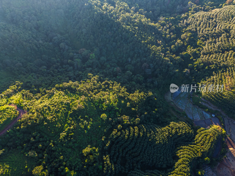 航拍绿意盎然的连绵起伏的山地景色