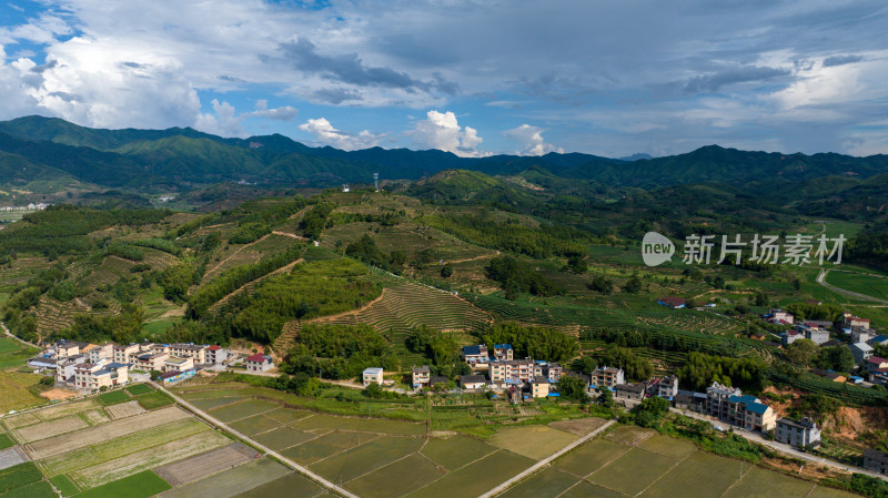 航拍武夷山绿色农田与茶园