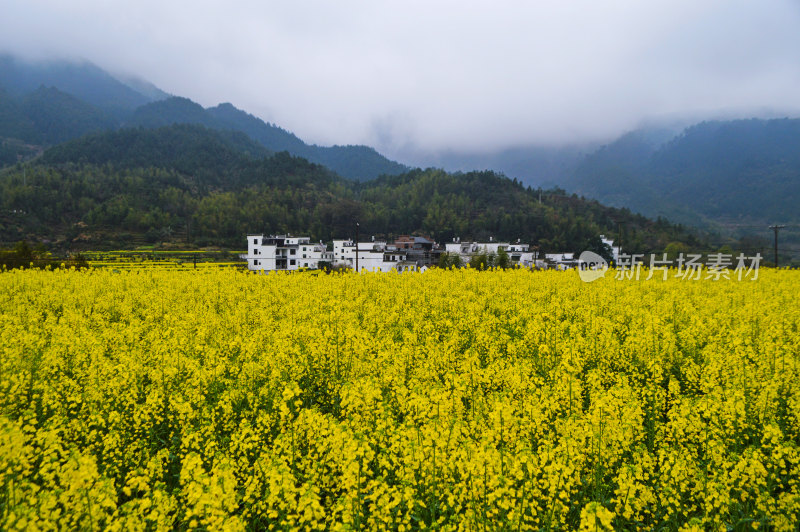 古村落婺源徽派建筑古建筑古遗址