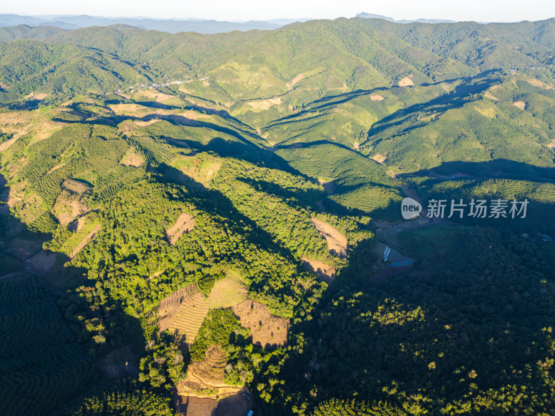 航拍视角下的大片绿色山林山脉全景