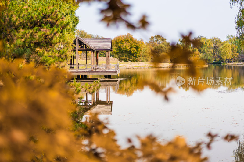 中国北京奥林匹克森林公园深秋风景