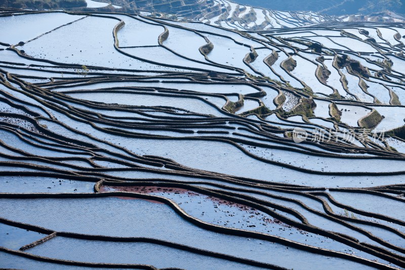 中国云南省万峰林梯田