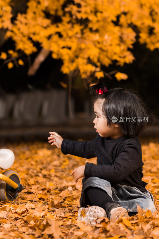 深秋坐在公园落满黄叶的草地上玩耍的女孩