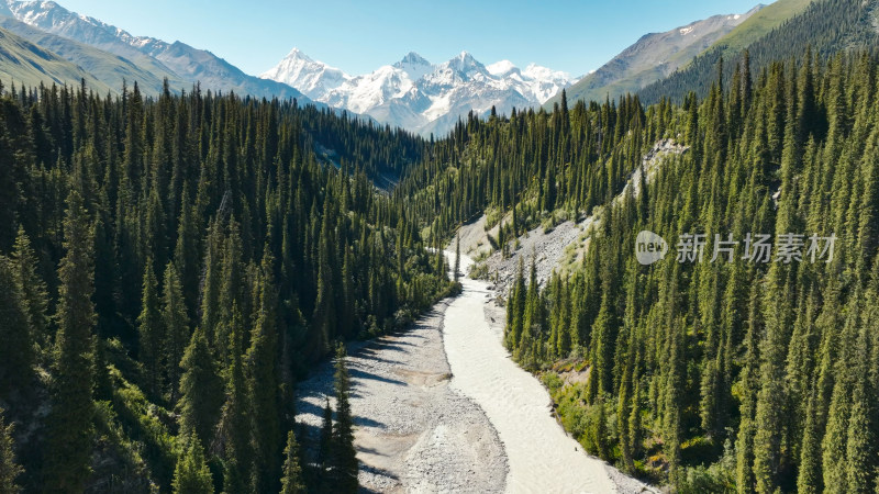 航拍雪山森林河流风景
