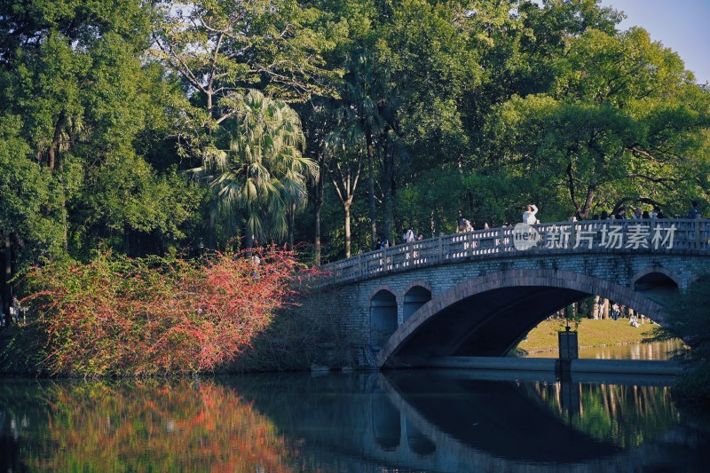 湖畔石桥绿树风景