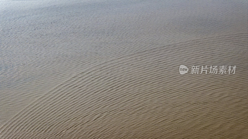 浙江钱塘江潮水滩涂大地之树航拍