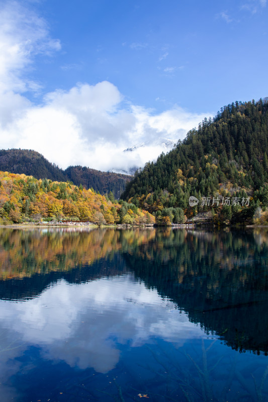 九寨沟秋色，五花海彩林层林尽染湖光山色