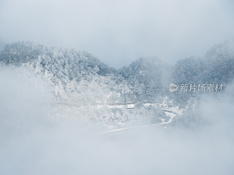 杭州临安冬季森林雪景云雾