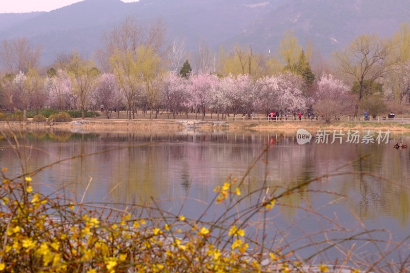 风景系列