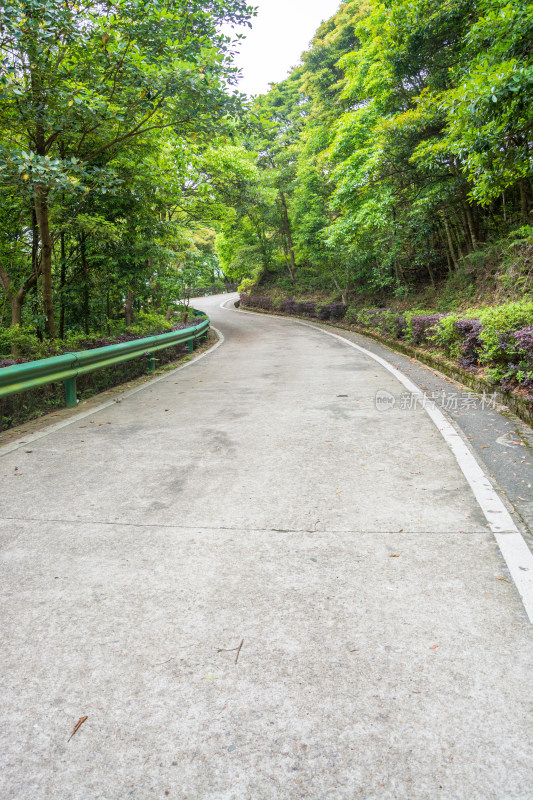 清溪森林公园盘山公路