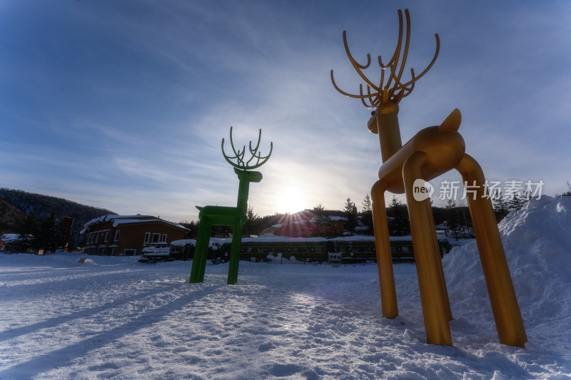 冬天雪地里的两只鹿