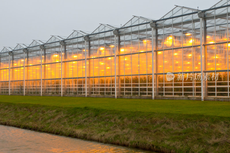 农业温室大棚外景