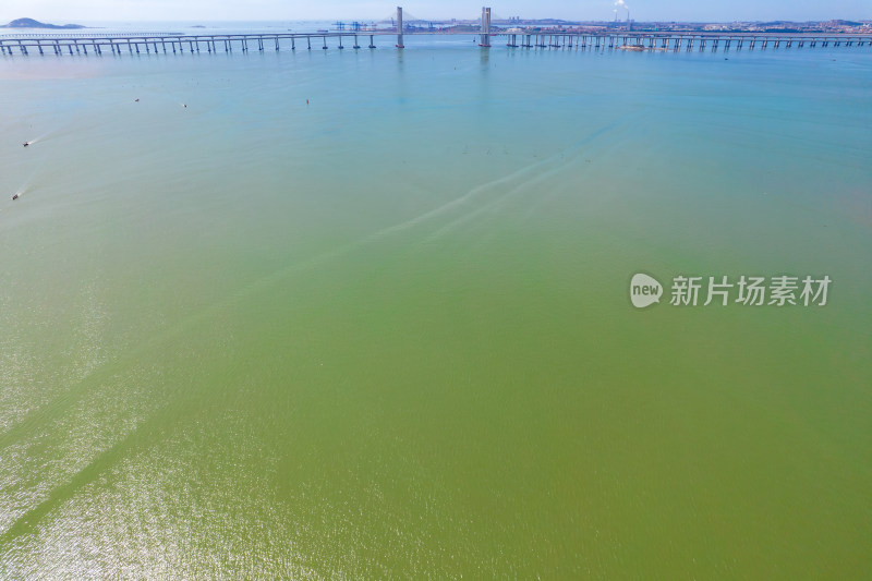 福建泉州湾大桥大海风光航拍摄影图