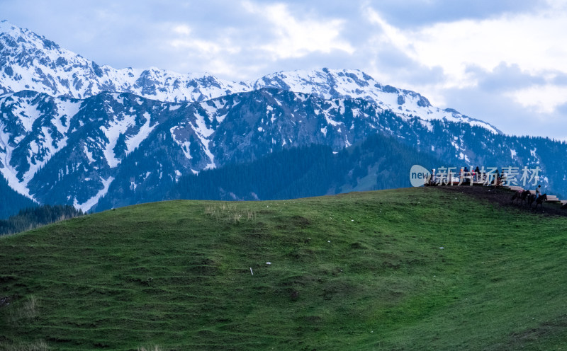 新疆伊犁蓝天白云下的雪山草原