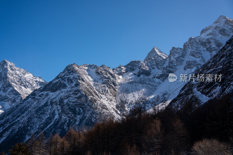 冬天川西毕棚沟雪山