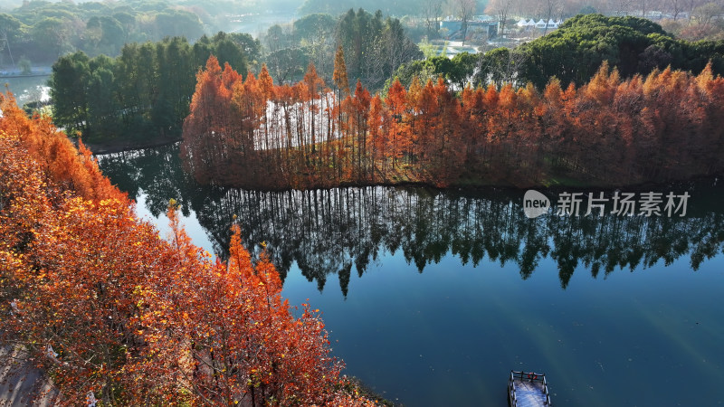 水上秋景 色彩斑斓的红杉林俯瞰图