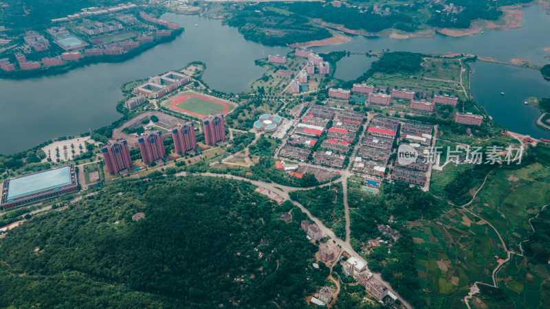 仰恩大学