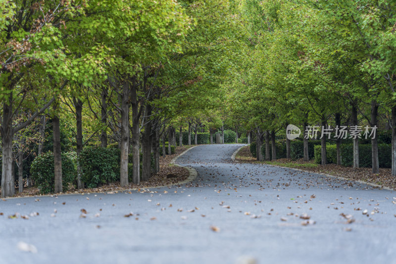 武汉江夏区藏龙岛国家湿地公园风景