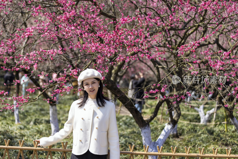 年轻女子春天踏青踏春赏花赏梅梅花