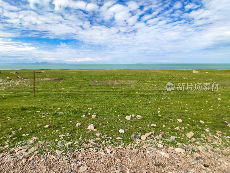 六月的青海湖风景