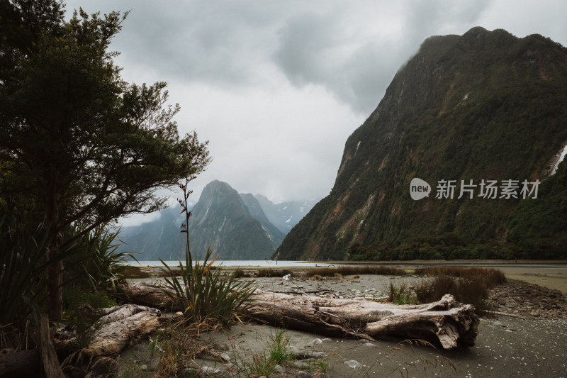 新西兰米佛峡湾Milford Sound