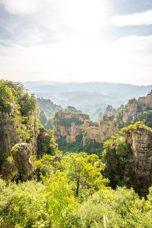 中国湖南张家界景区奇特山峰与茂密森林