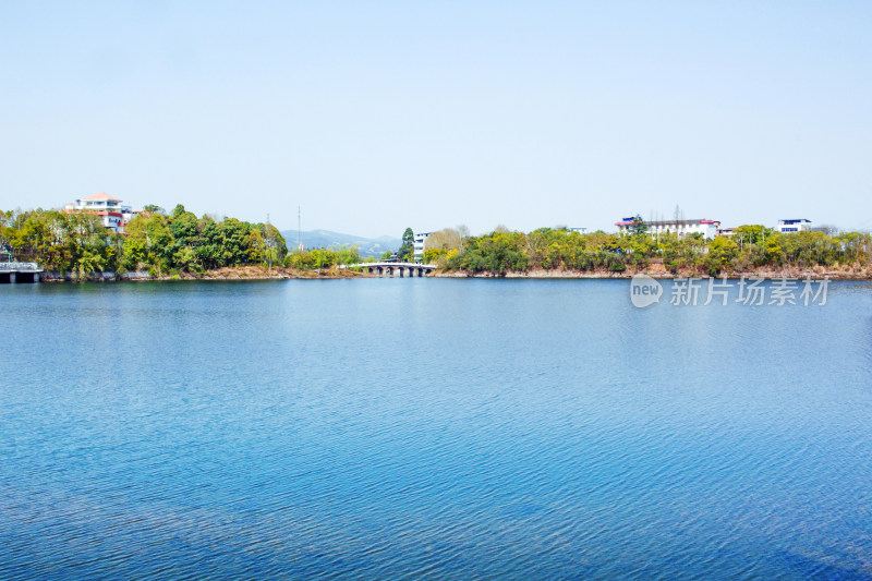 湖泊植物天空风景背景自然户外