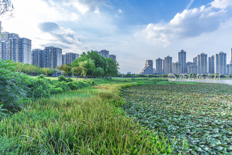 武汉洪山区杨春湖公园风景