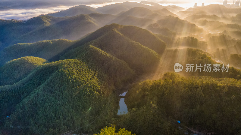 蓝天 白云 山 森林 云海