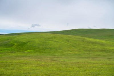 中国新疆伊犁喀拉峻大草原自然风景