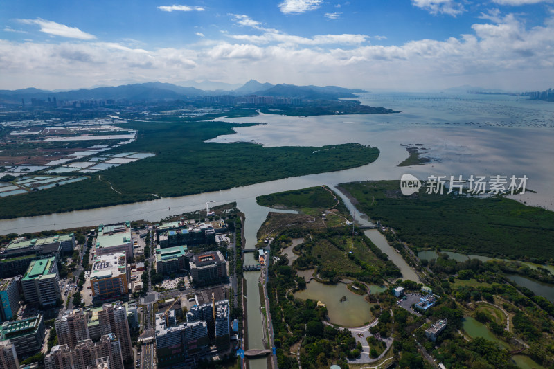 深圳福田红树林自然保护区