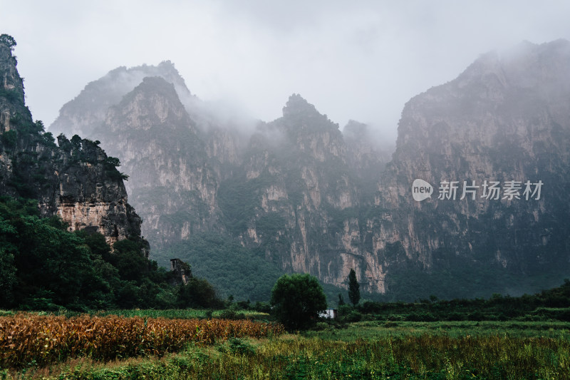 晋城双底村红豆杉大峡谷