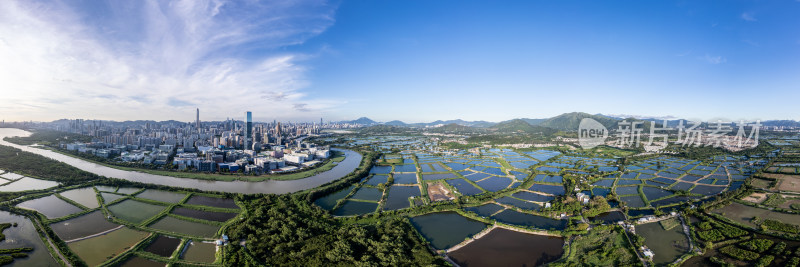 香港米埔自然护理区