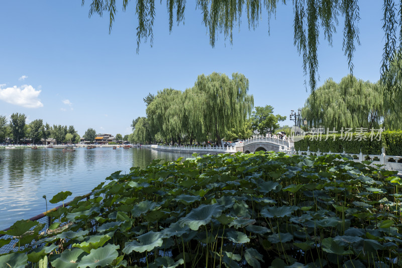 北京什刹海景观