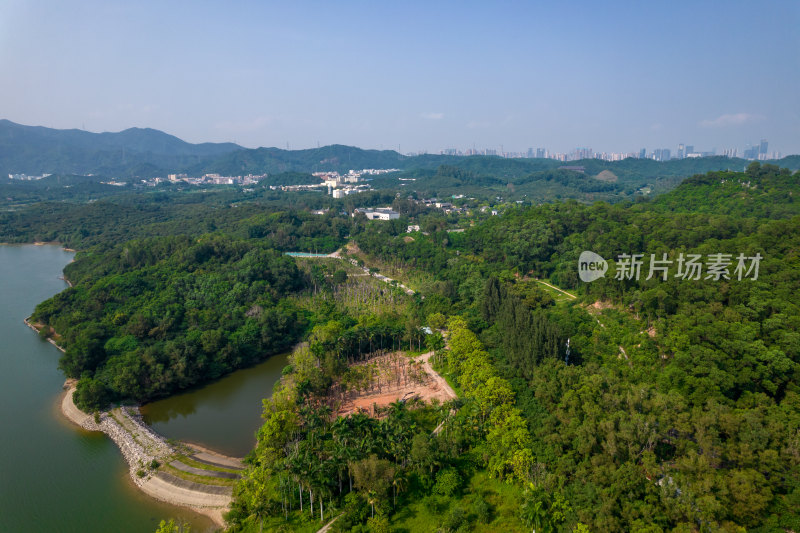 深圳环西丽湖碧道